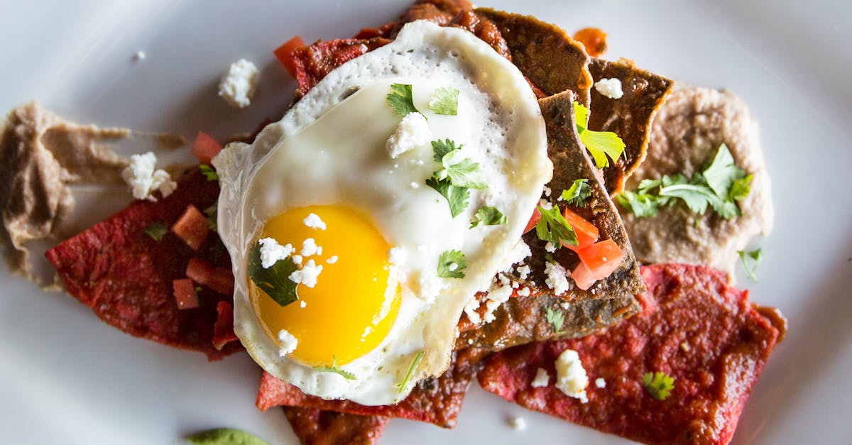 découvrez tout sur l'œuf : bienfaits, recettes, et conseils pour intégrer cet aliment incontournable à votre alimentation quotidienne.