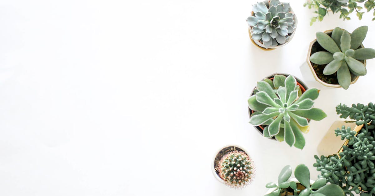 découvrez nos idées et conseils en décoration d'intérieur pour transformer votre maison en un espace élégant et chaleureux. inspirez-vous des dernières tendances home decor pour sublimer chaque pièce de votre intérieur.