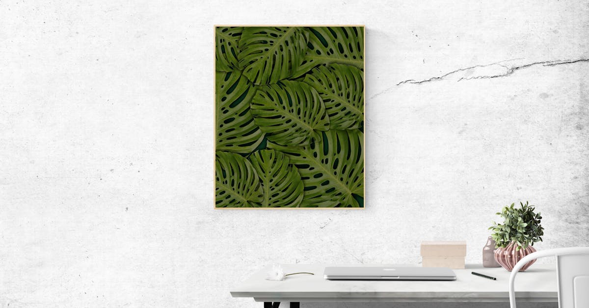 découvrez tout sur le monstera, une plante d'intérieur élégante et facile à cultiver. conseils d'entretien, astuces pour la multiplication et idées déco pour sublimer votre intérieur avec cette plante tendance !