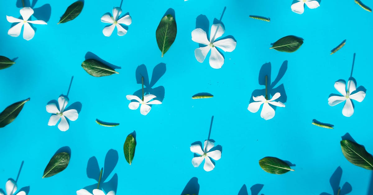 découvrez l'art du moodboard : un outil créatif pour rassembler idées, inspirations visuelles et ambiances uniques. parfait pour les designers, artistes ou passionnés de décoration souhaitant donner vie à leurs projets.