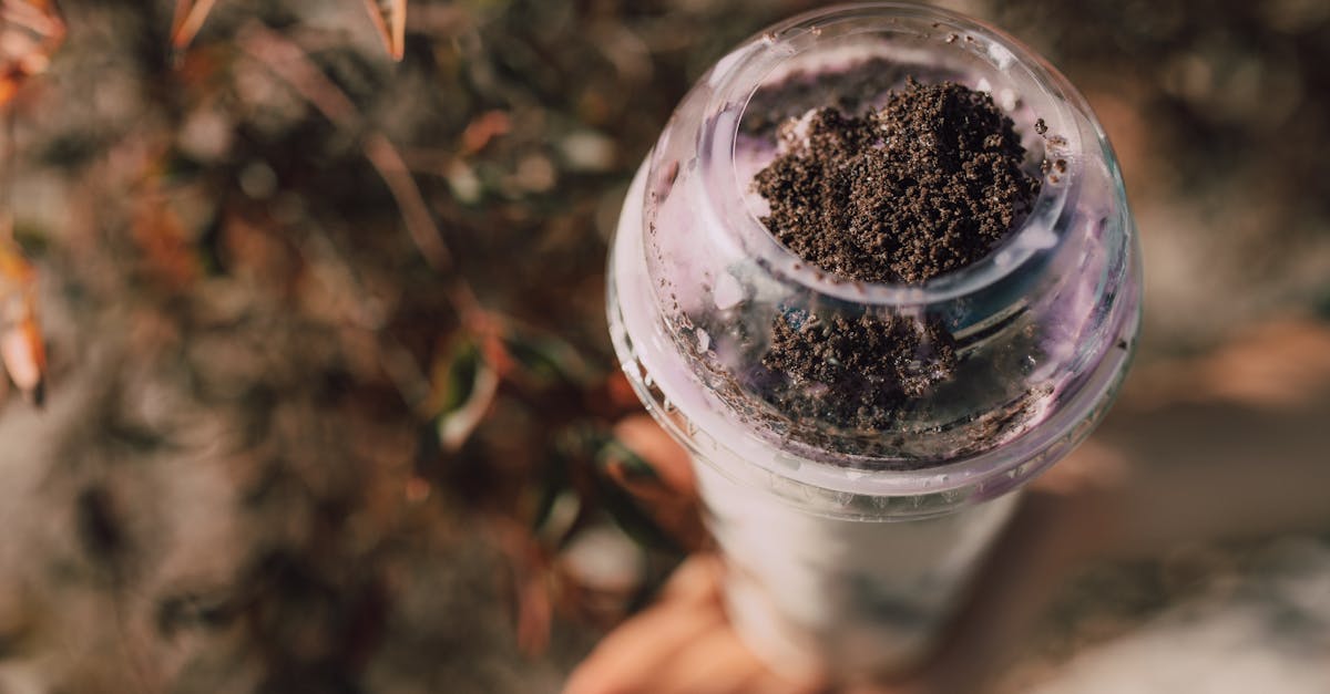 découvrez l’univers nutella : la célèbre pâte à tartiner aux noisettes et au cacao, idéale pour le petit déjeuner comme pour les pauses gourmandes. histoire, recettes et astuces pour savourer nutella au quotidien.