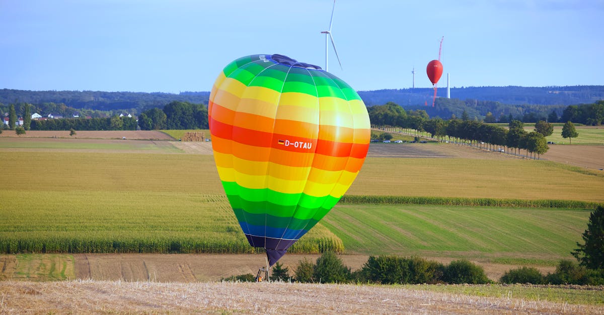 découvrez comment préparer un rainbow rice coloré et savoureux, parfait pour apporter une touche ludique et gourmande à vos repas. idéal pour surprendre et régaler petits et grands avec une recette aussi belle que délicieuse !